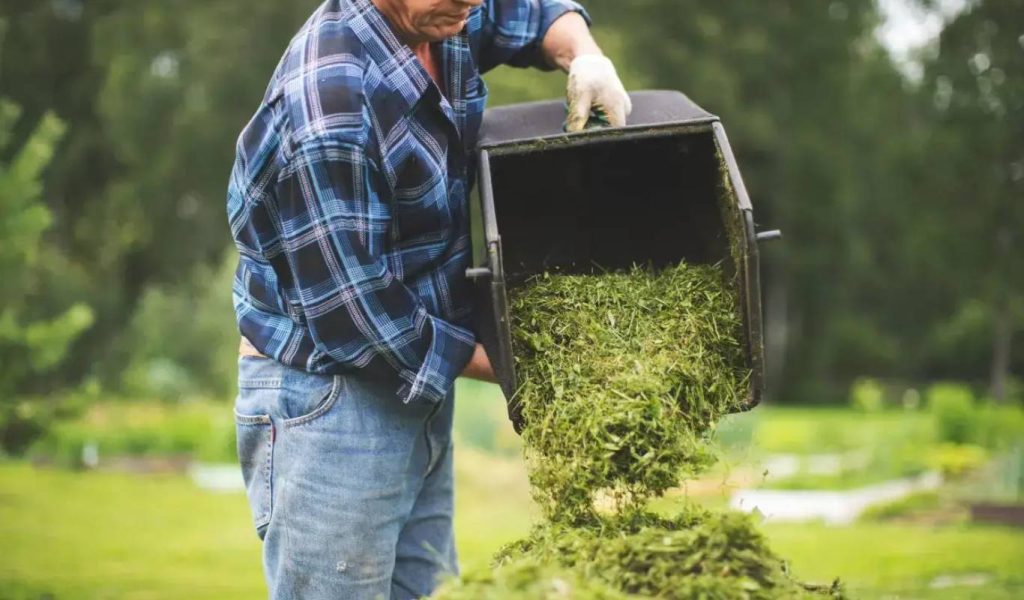 How to Clear an Overgrown Garden